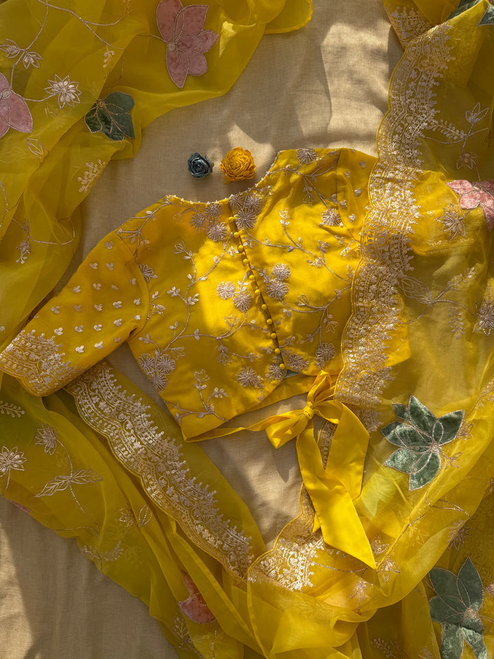 Sunshine Yellow Organza Saree with Velvet Appliqué and Pita Hand Work
