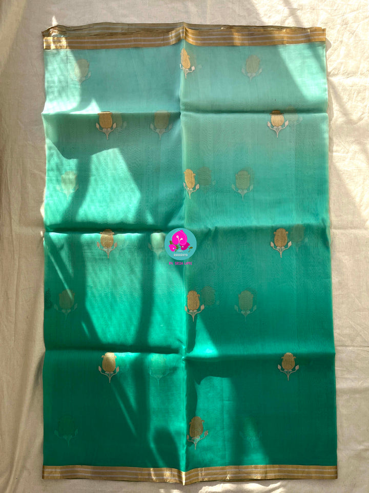 Pure Benarasi Kora organza saree with hand embroidered pure rawsilk blouse in Madhubala pattern.