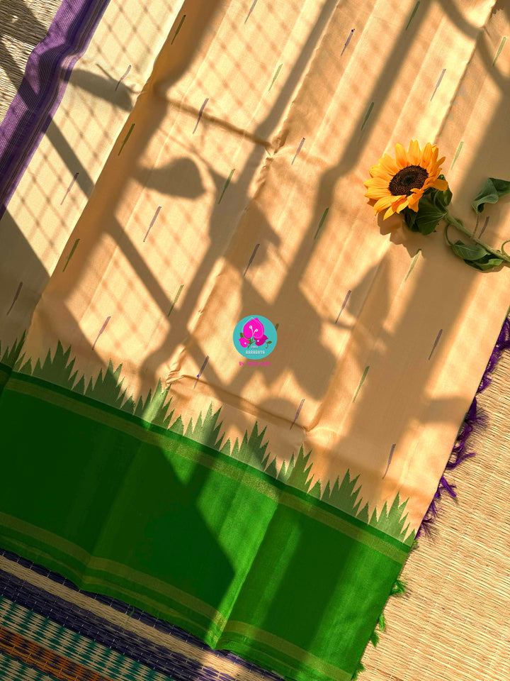 Ganga Jamuna border with rain drop weave & Ikkat Kanjivaram Saree with blouse