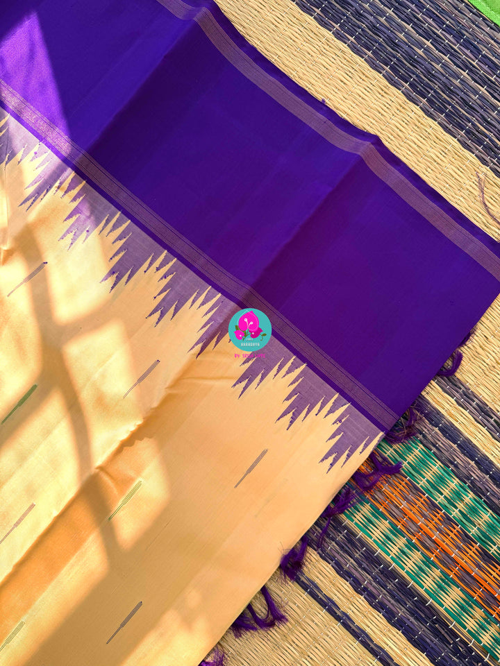 Ganga Jamuna border with rain drop weave & Ikkat Kanjivaram Saree with blouse