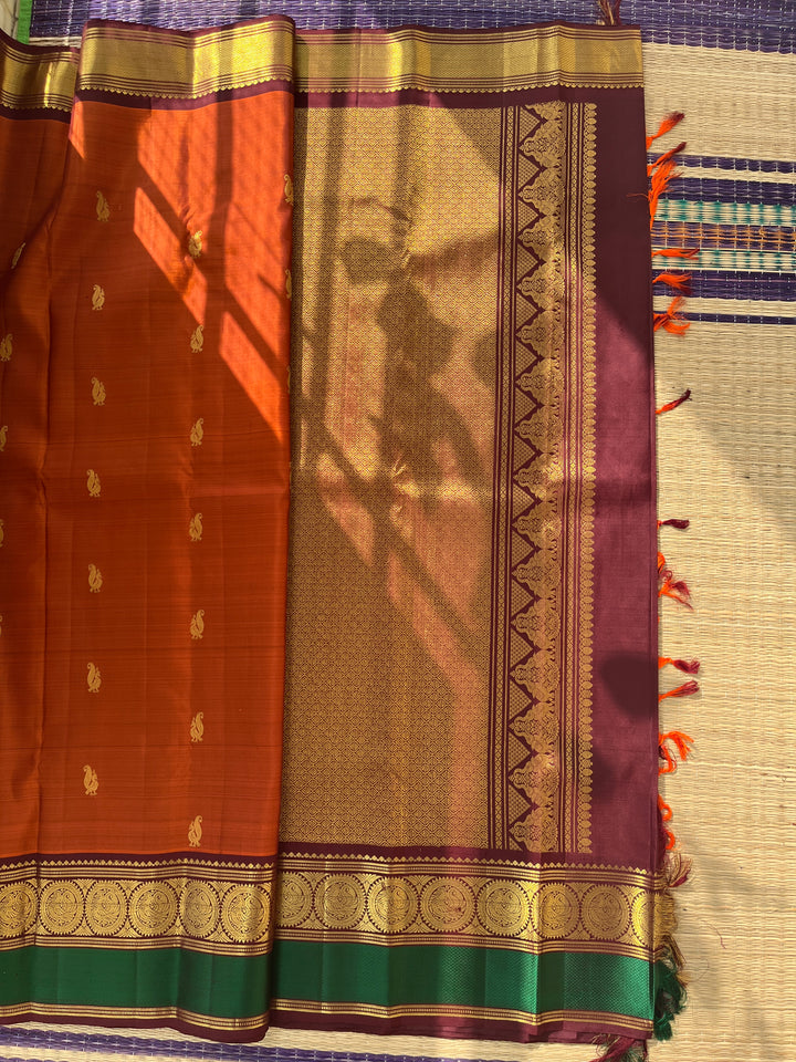 Kanchipattu handloom saree warm rust orange by a contrast border in sophisticated brown and a touch of vibrant green