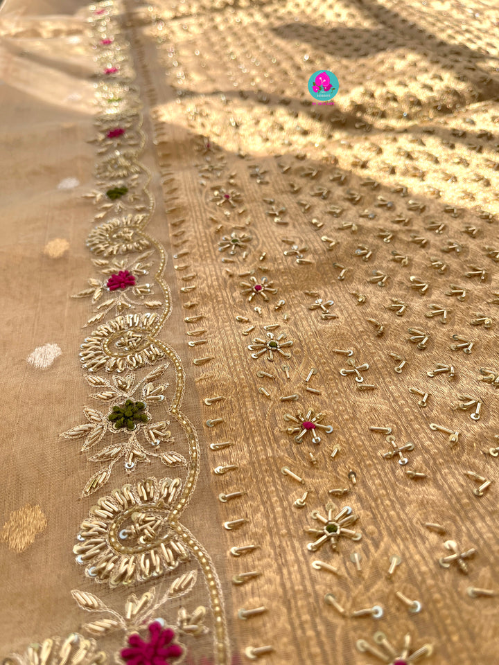 Pure Tissue Saree with Hand Embroidery