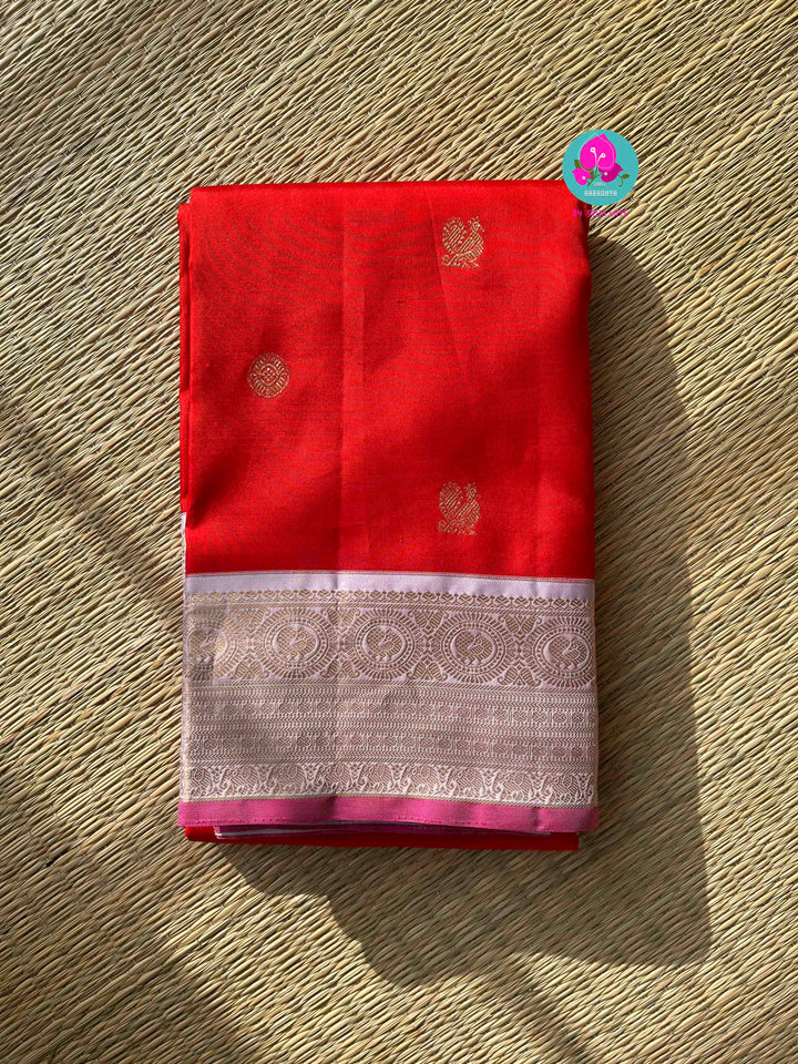 Pure Kanchipattu Red Saree with Hand embroidered Lavender blouse
