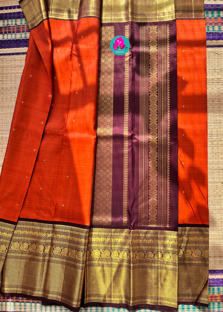 Pure Kanchipattu saree in vintage rust orange and brown border with hand embroidered blouse