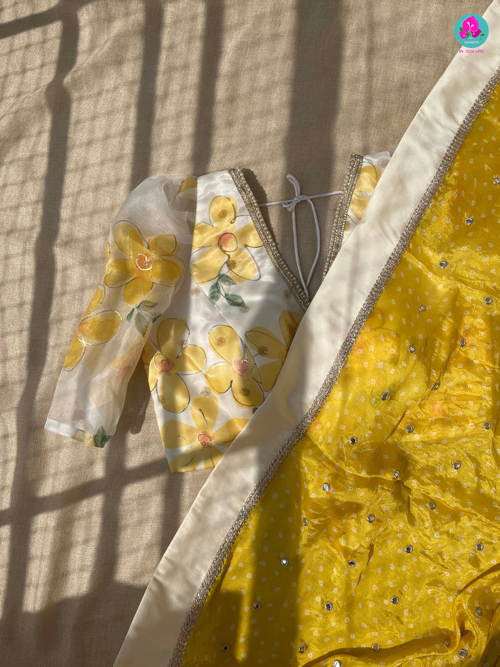 Mirror worked chiffon saree with Floral Organza Blouse