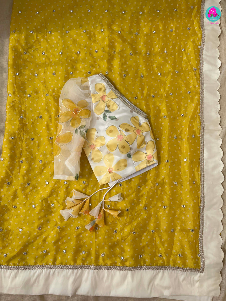 Mirror worked chiffon saree with Floral Organza Blouse