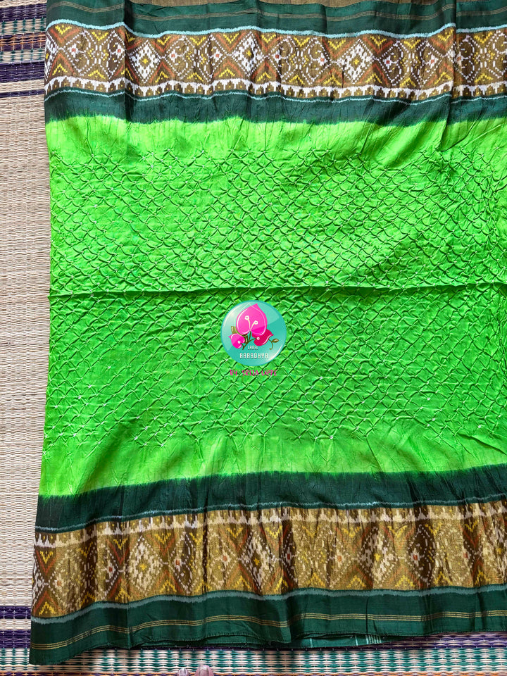 The Verdant Orchard: Apple Green Bandhani & Rajkot Patola Fusion Saree in 5-ply Mulberry Silk