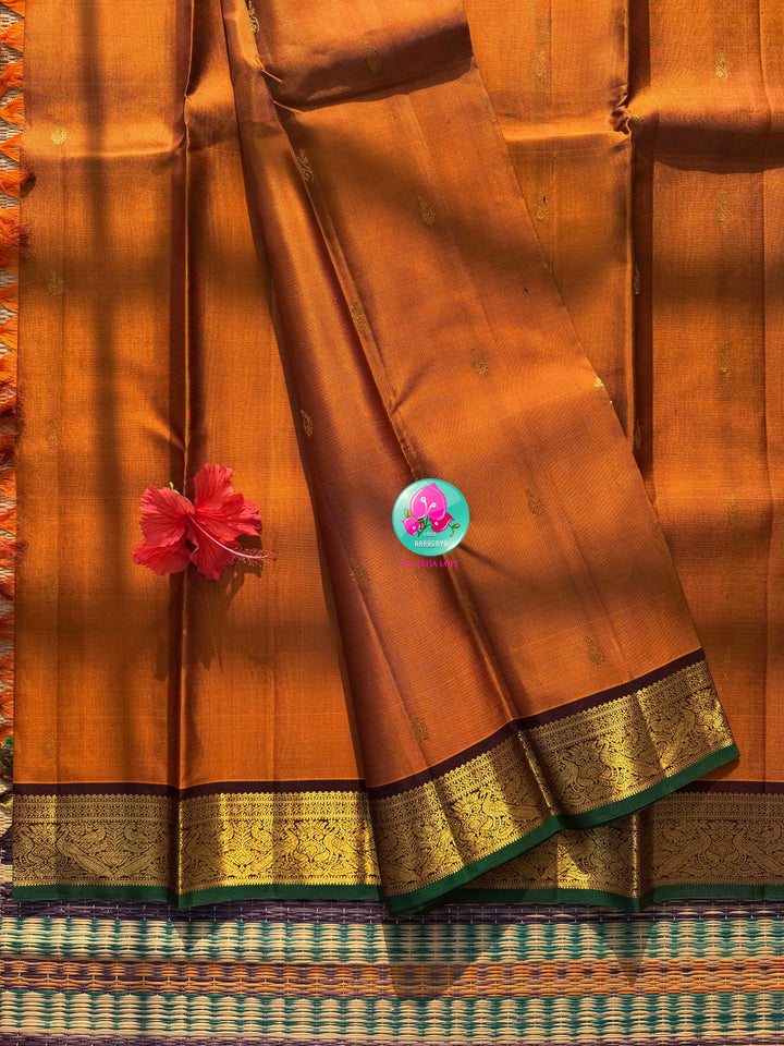 The Amber Embers: Vintage Rust Kanchipattu Saree with Deep Brown Hand-Embroidered Artistry