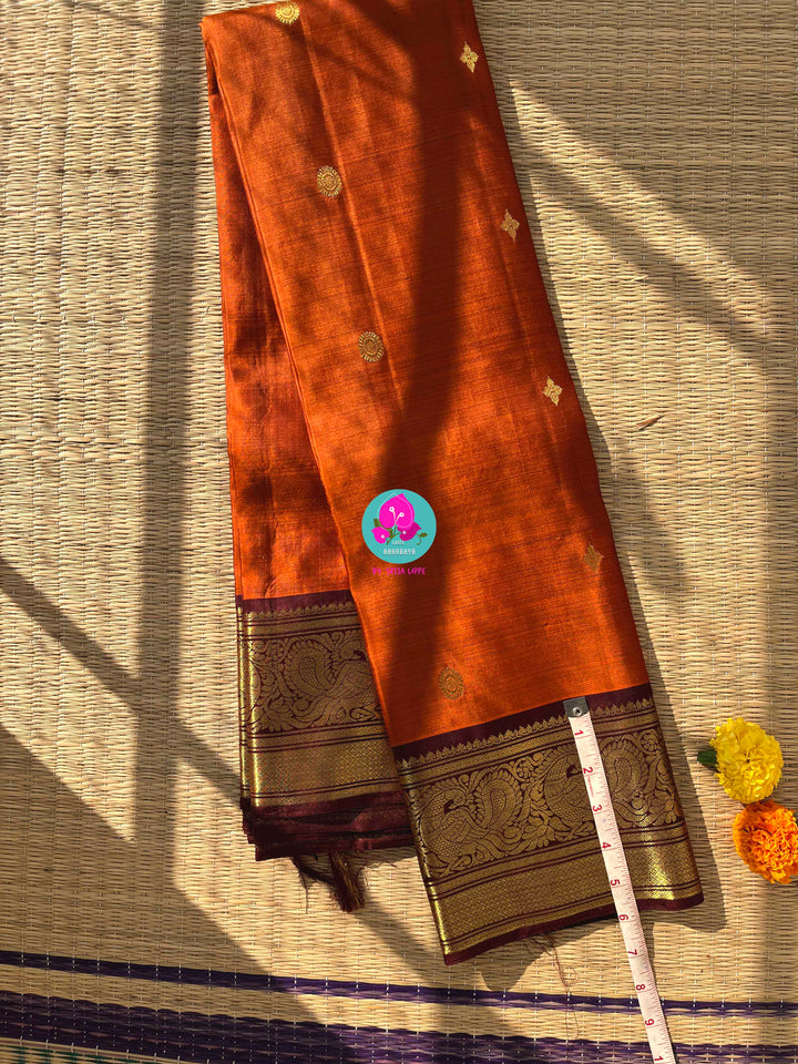 Pure Kanchipattu saree in vintage rust orange and brown border with hand embroidered blouse