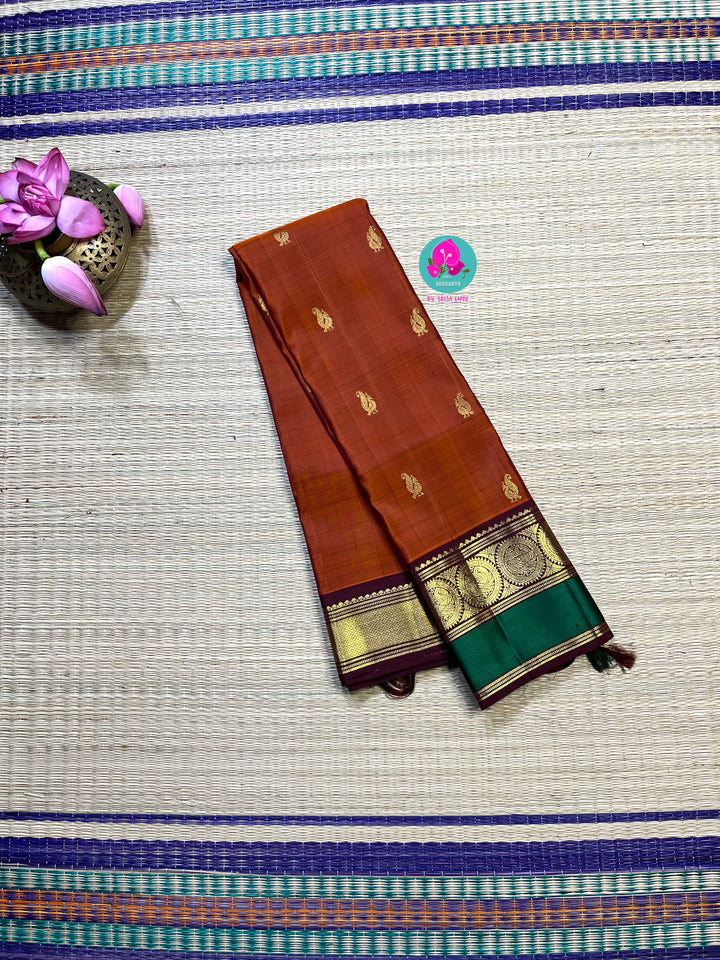 Kanchipattu handloom saree warm rust orange by a contrast border in sophisticated brown and a touch of vibrant green