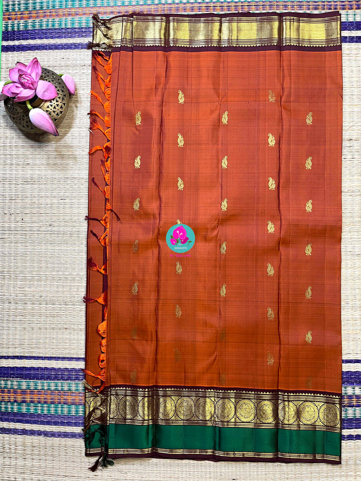 Kanchipattu handloom saree warm rust orange by a contrast border in sophisticated brown and a touch of vibrant green