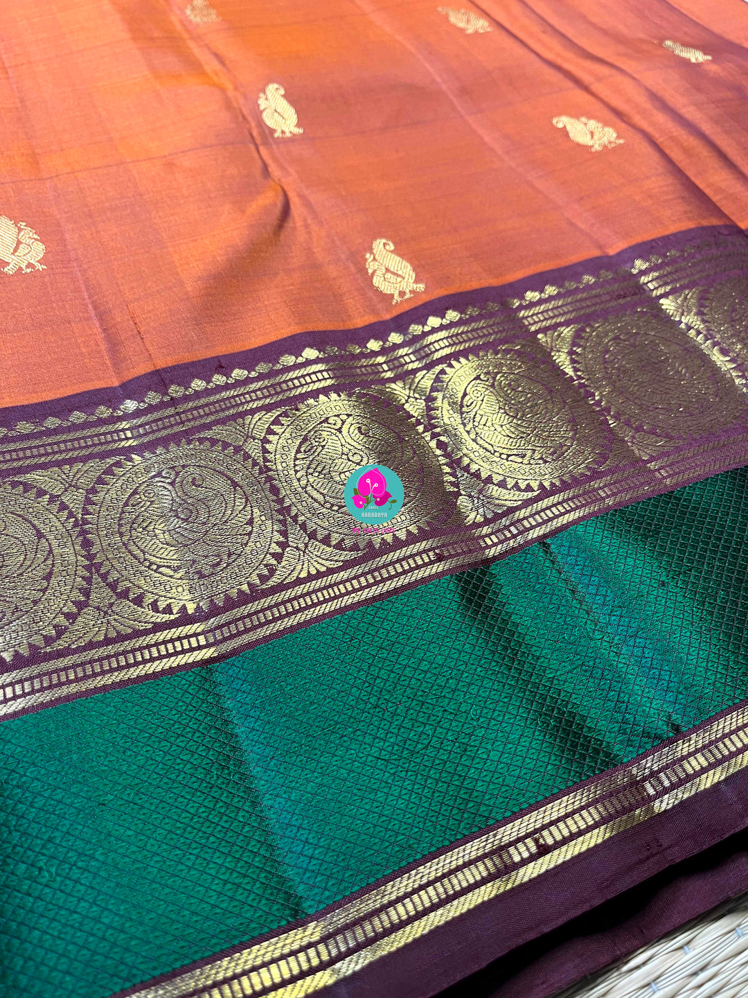Kanchipattu handloom saree warm rust orange by a contrast border in sophisticated brown and a touch of vibrant green
