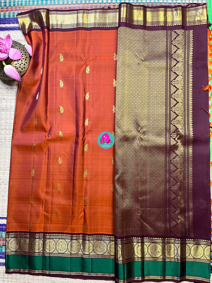 Kanchipattu handloom saree warm rust orange by a contrast border in sophisticated brown and a touch of vibrant green