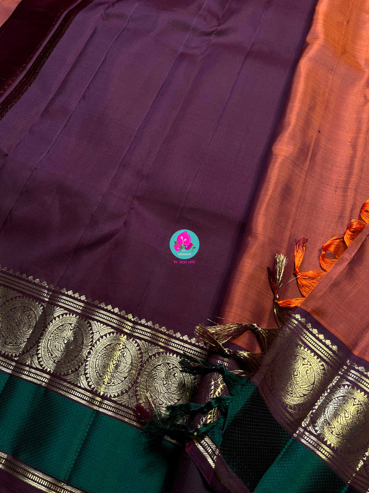 Kanchipattu handloom saree warm rust orange by a contrast border in sophisticated brown and a touch of vibrant green