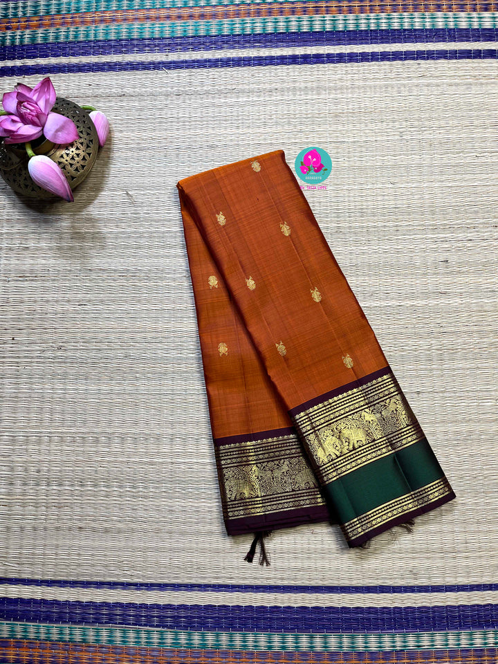 Kanchipattu handloom saree warm rust orange by a contrast border in sophisticated brown and a touch of vibrant green