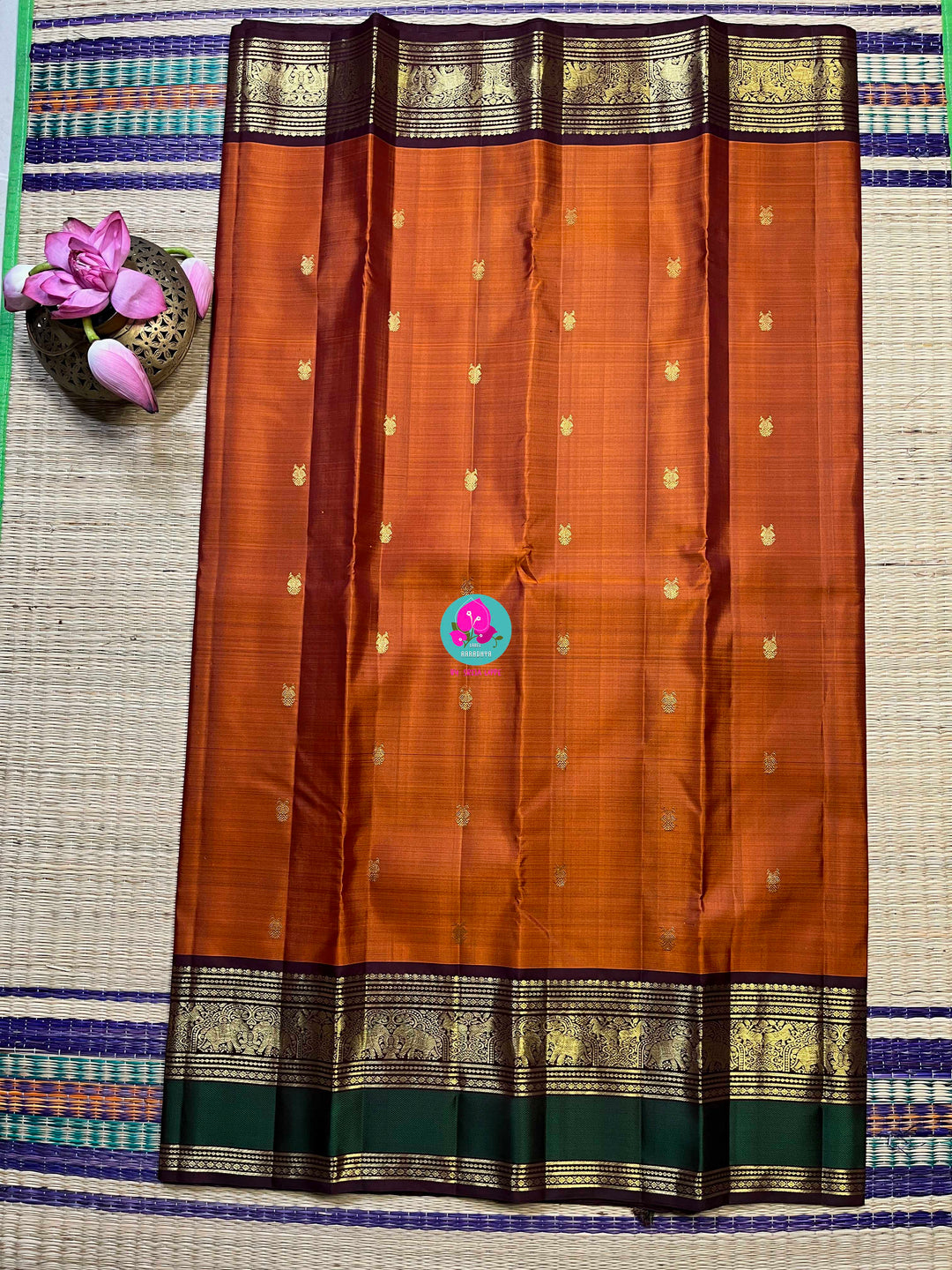 Kanchipattu handloom saree warm rust orange by a contrast border in sophisticated brown and a touch of vibrant green
