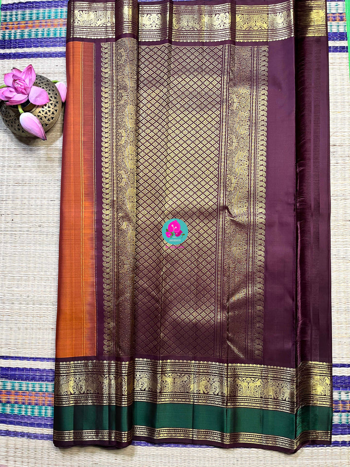 Kanchipattu handloom saree warm rust orange by a contrast border in sophisticated brown and a touch of vibrant green