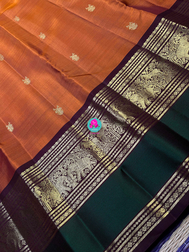Kanchipattu handloom saree warm rust orange by a contrast border in sophisticated brown and a touch of vibrant green