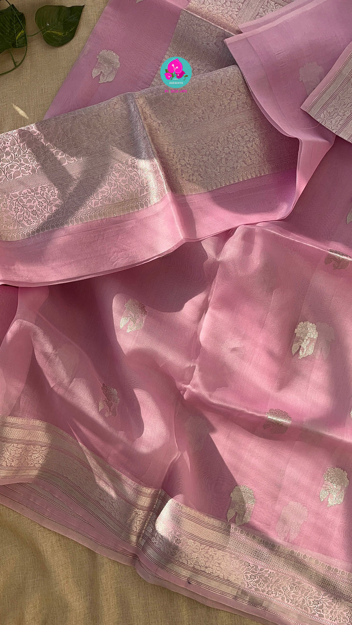 Pure kora Silk Saree paired with hand embroidered pure raw silk blouse