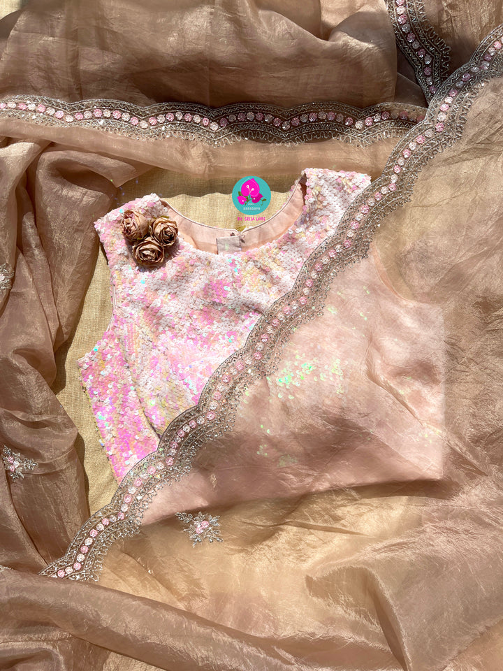 Hand embroidered Organza saree Paired with Sequins blouse