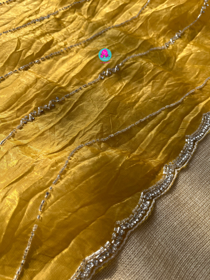 Soft Crush organza saree with hand embroidery paired with Fashion Blouse